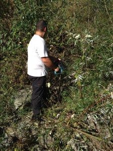 pulizia fiume Mesocco 2014